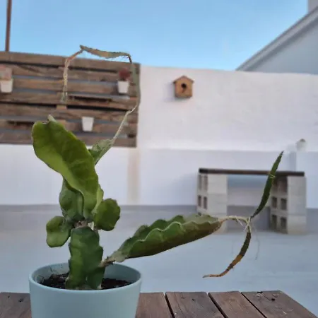 Aire Fresco Conil Apartamento *